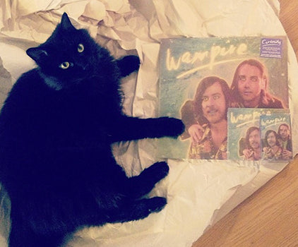 1273__07098_Wampire-curious-cat-422.jpg