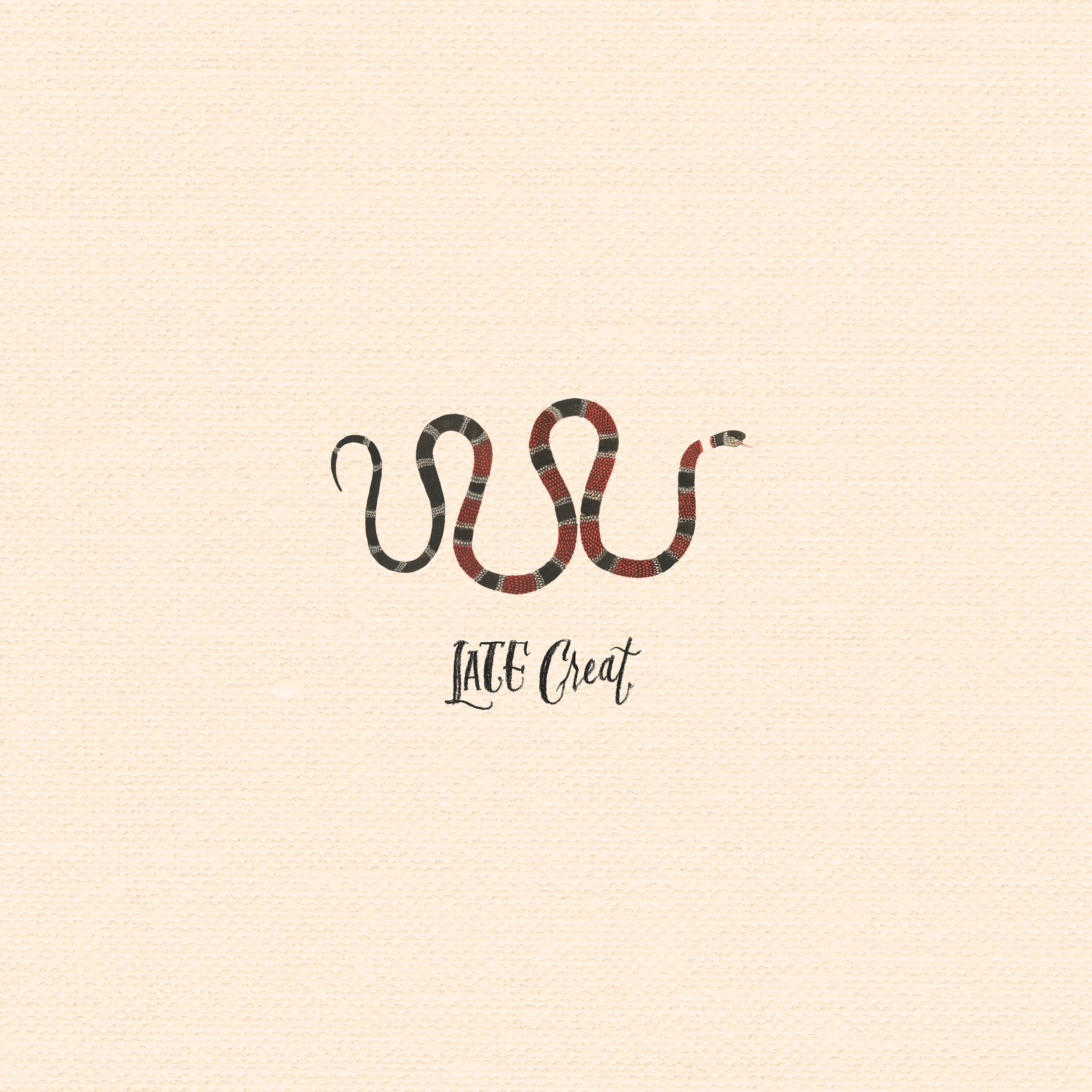 Laura Stevenson - Late Great | Polyvinyl Record Co.