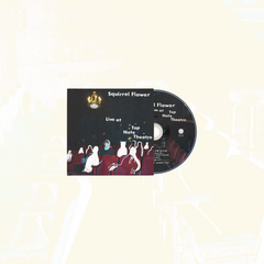 Squirrel Flower - Live at Top Note Theatre
