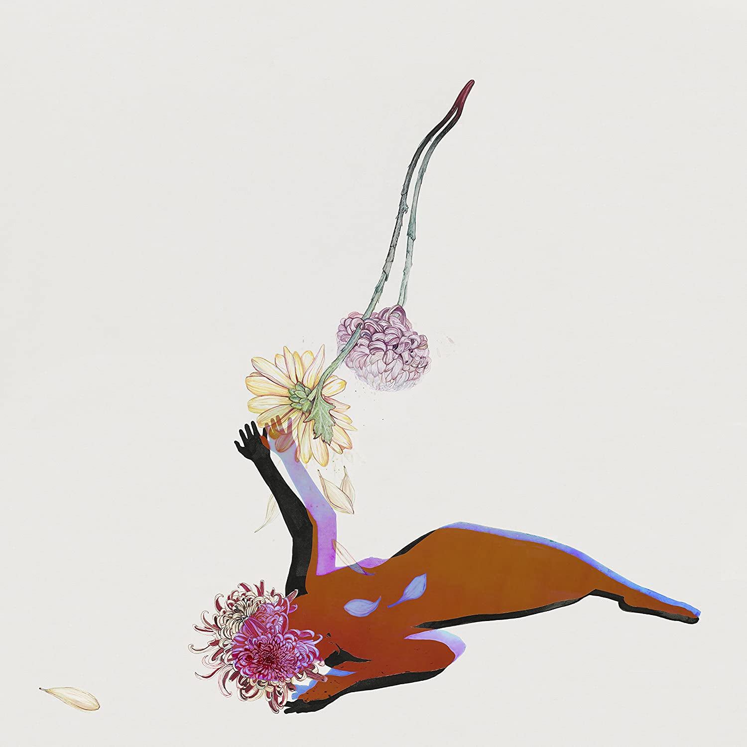 Future Islands - The Far Field | Polyvinyl Record Co.