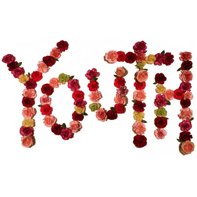 Citizen - Youth | Polyvinyl Record Co.