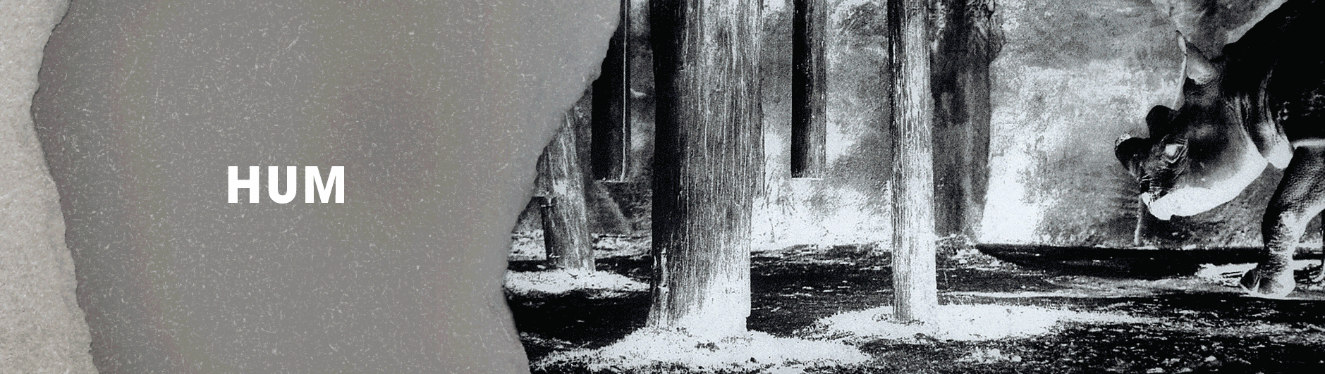 Hum Store | Polyvinyl Record Co.