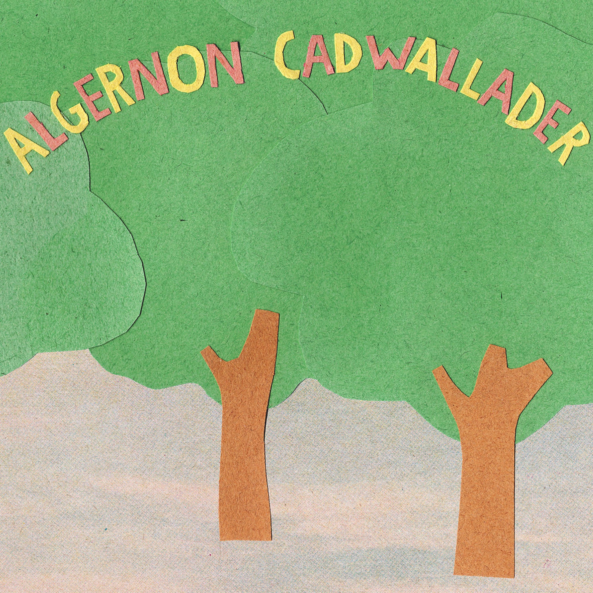 Algernon Cadwallader - Some Kind of Cadwallader | Polyvinyl Record Co.