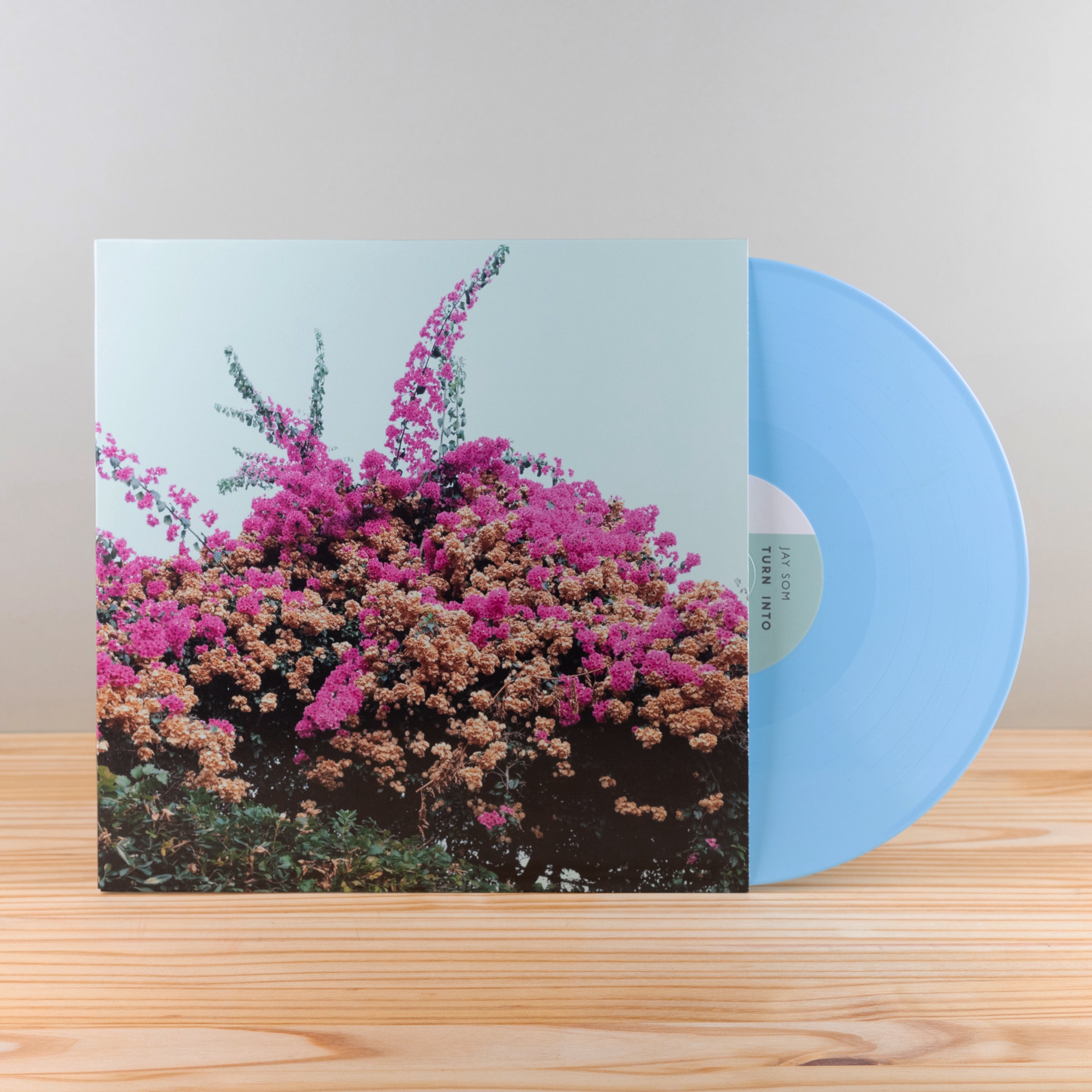 Jay Som - Turn Into | Polyvinyl Record Co.