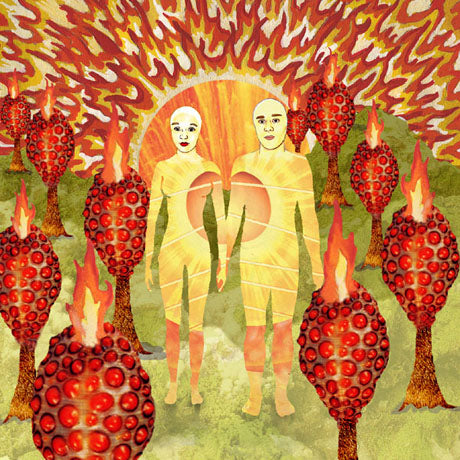 of Montreal - The Sunlandic Twins | Polyvinyl Record Co.