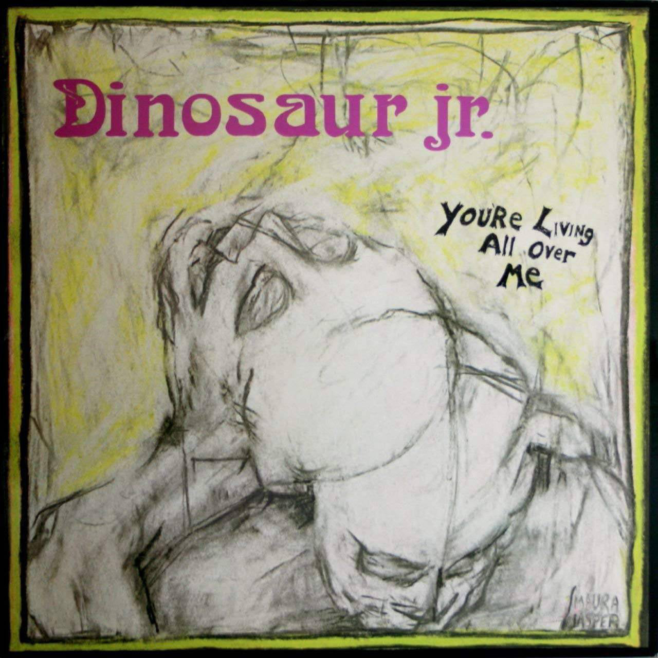 Dinosaur Jr. - You're Living All Over Me | Polyvinyl Record Co.