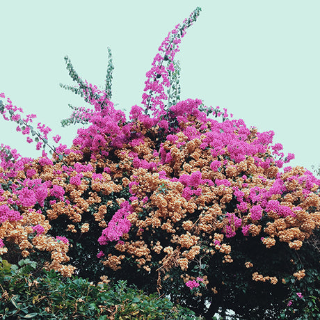 Jay Som - Turn Into (Garage Sale Tape)