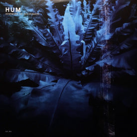 Hum Store | Polyvinyl Record Co.
