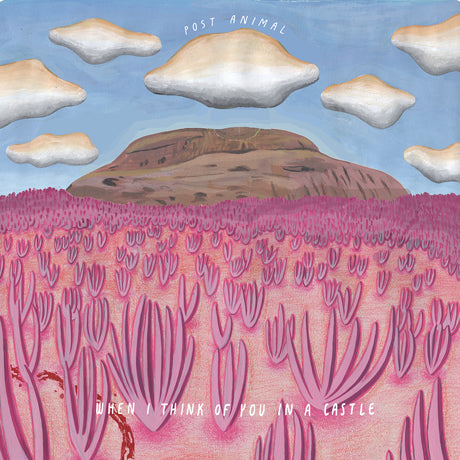 Post Animal - When I Think Of You In A Castle (Garage Sale CD)