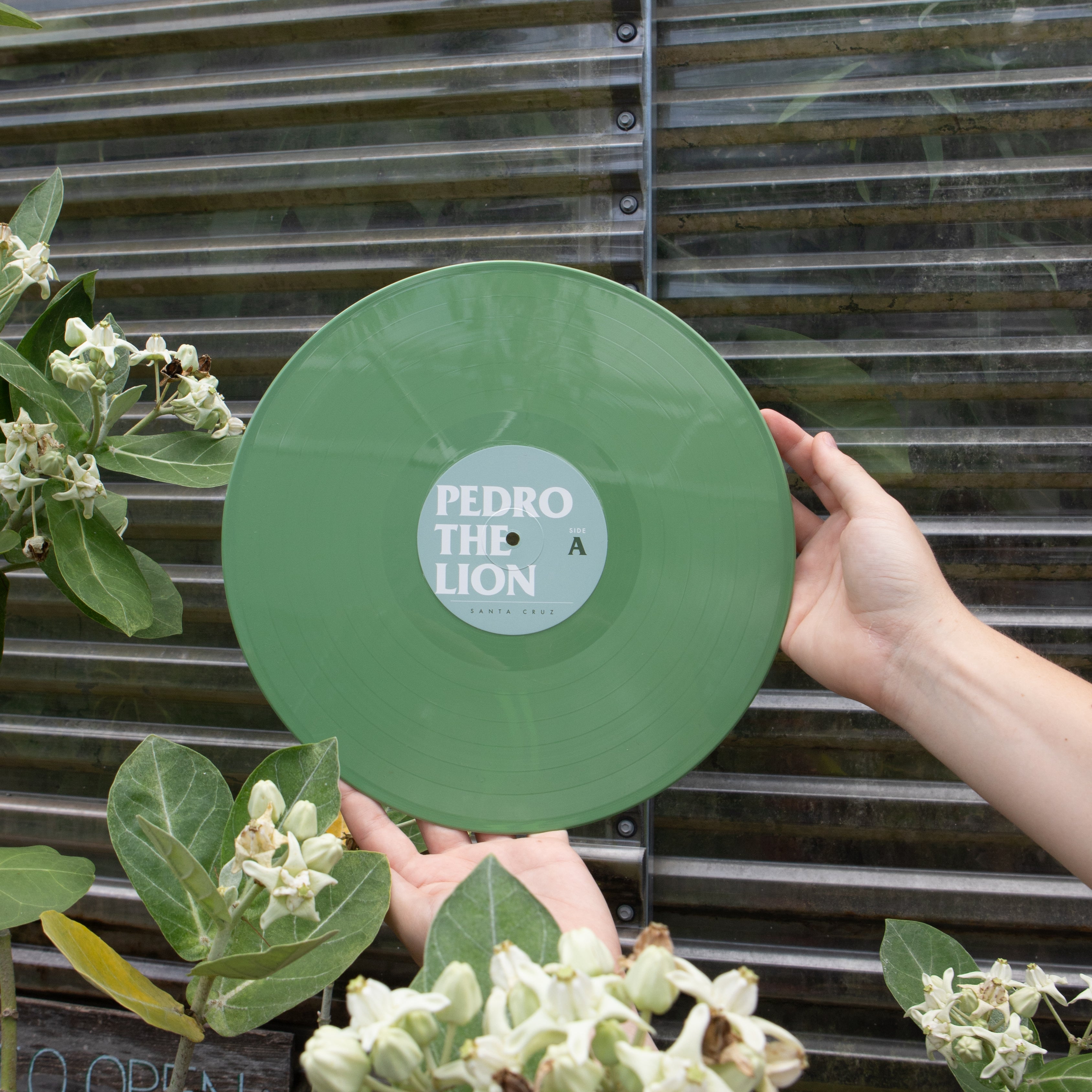 Pedro The Lion - Santa Cruz | Polyvinyl Record Co.