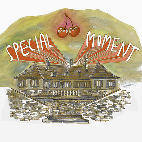 POST ANIMAL レコード Post Animal - Iron | Polyvinyl Record Co.