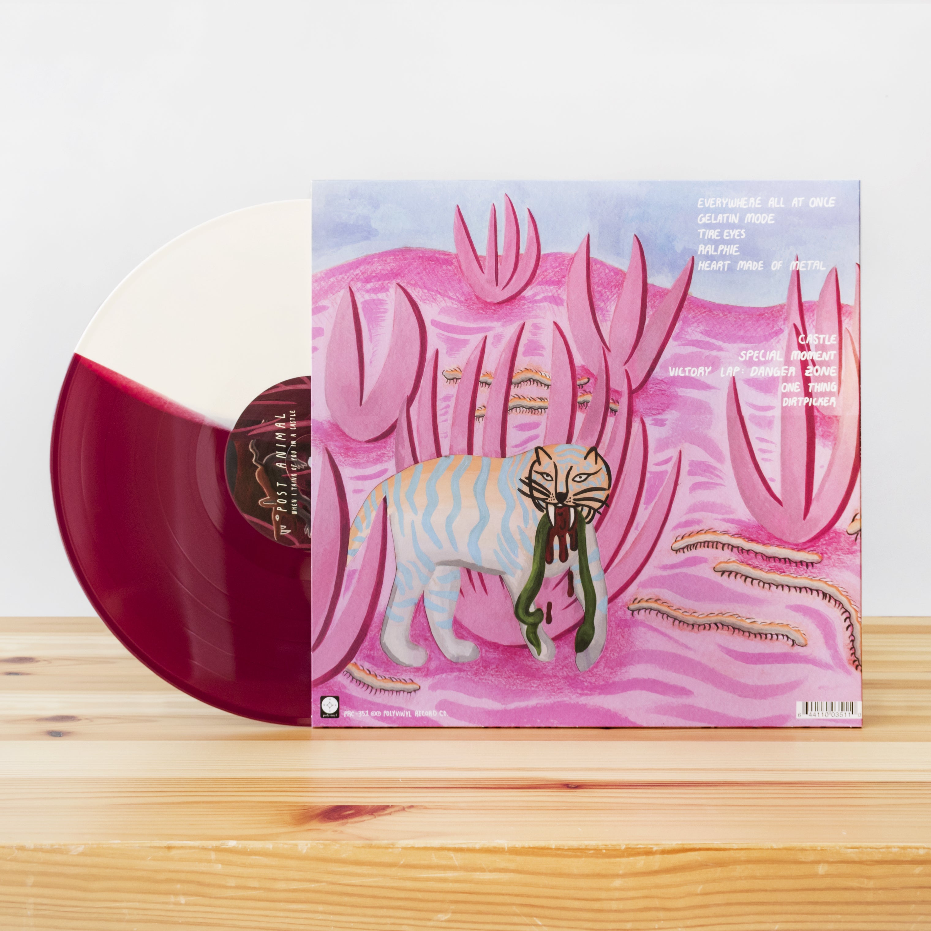 Post Animal - When I Think Of You In A Castle | Polyvinyl Record Co.