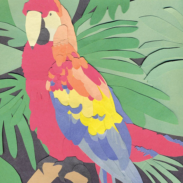 Algernon Cadwallader - Parrot Flies | Polyvinyl Record Co.
