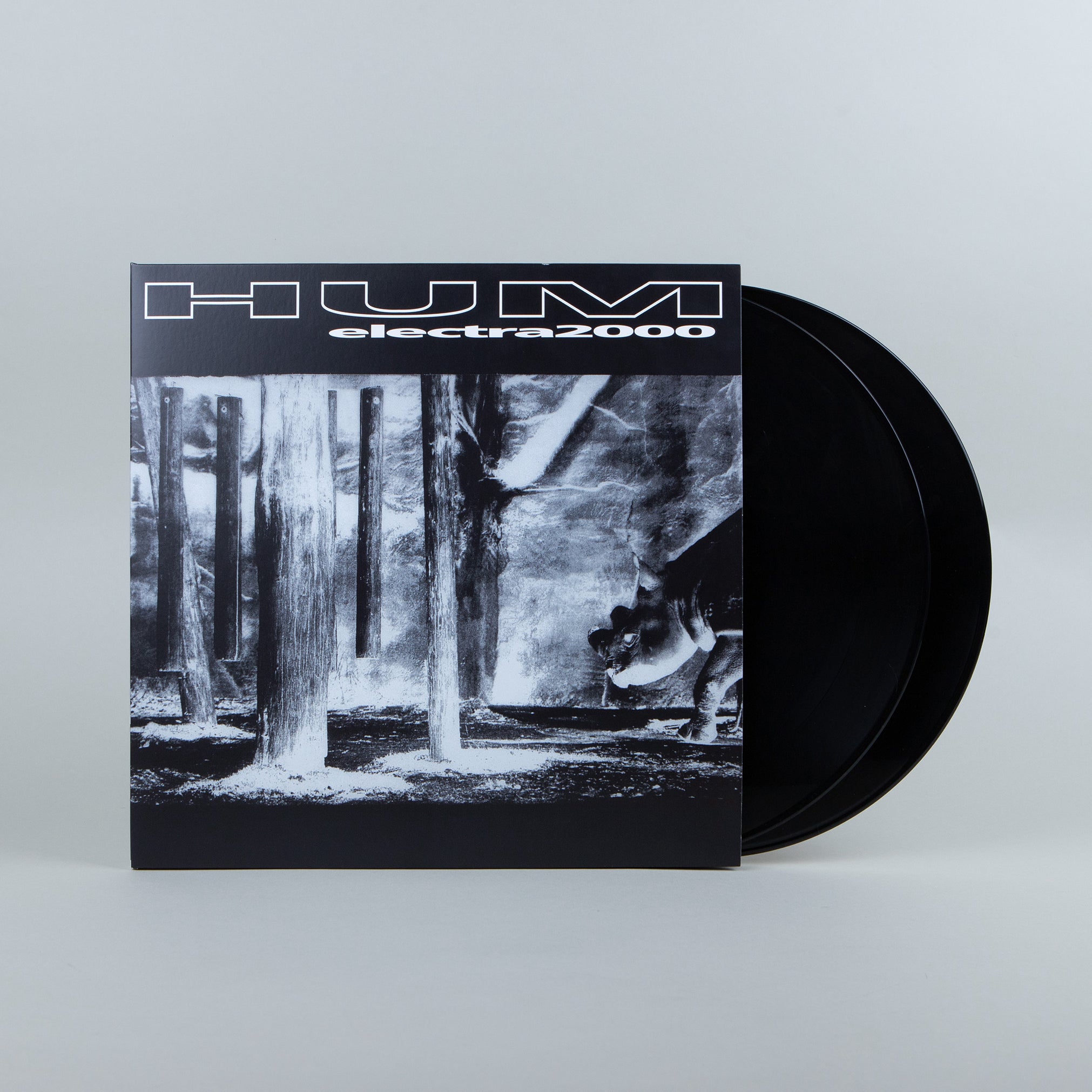 再入荷アイテム Electra - Hum 2000 Co. Record Polyvinyl | 洋楽