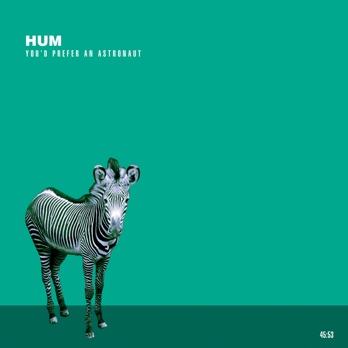 Hum Store | Polyvinyl Record Co.
