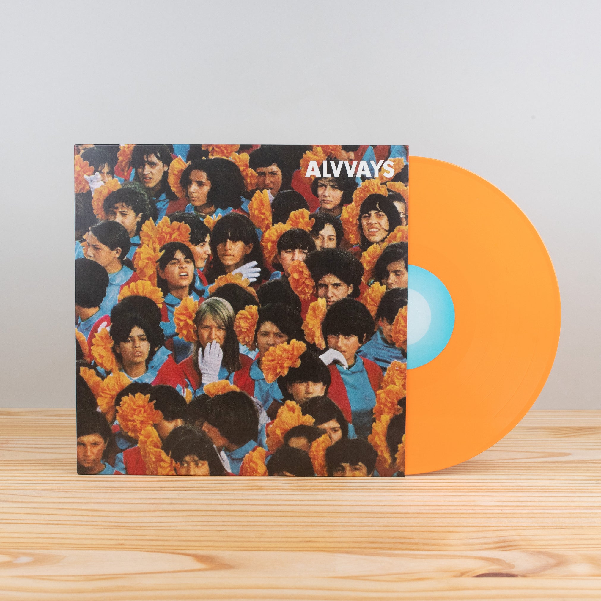 インディーロック　Alvvays 　レコード　6枚 Alvvays - Alvvays | Polyvinyl Record Co.