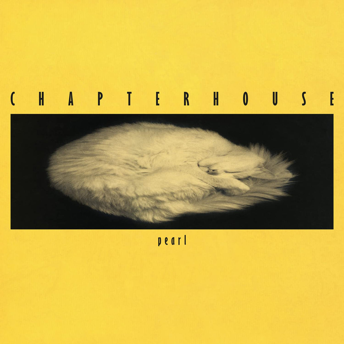Chapterhouse - Pearl | Polyvinyl Record Co.