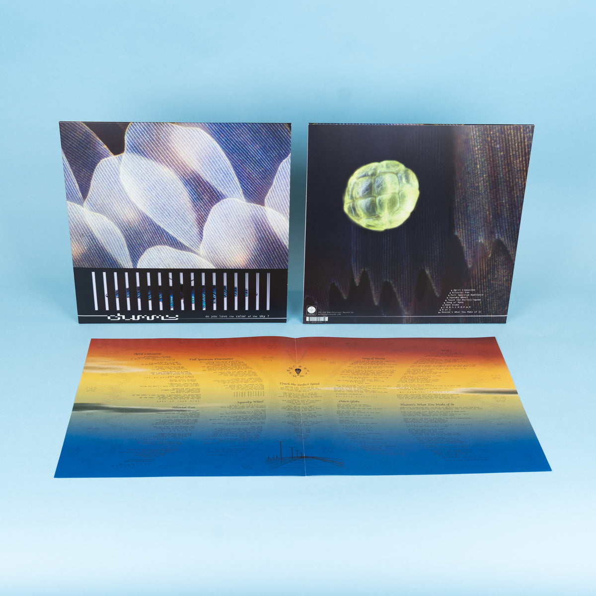 Dummy - do you love the color of the sky?