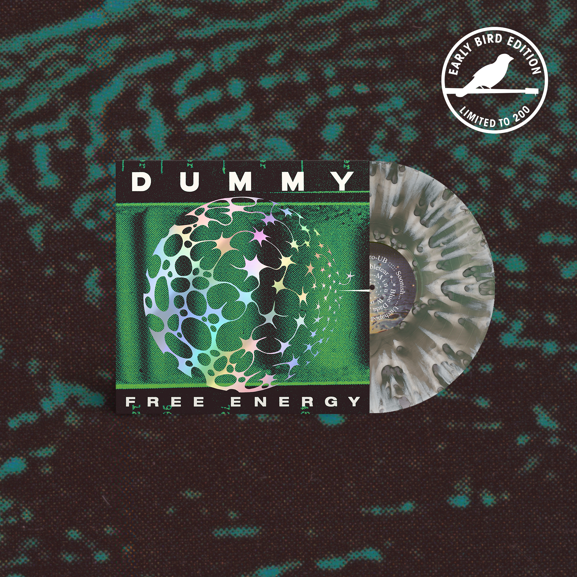 Dummy - Free Energy | Polyvinyl Record Co.