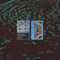 Dummy - Mandatory Enjoyment