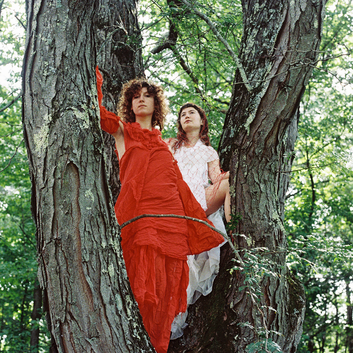 Squirrel Flower / Babehoven - My Life in Art