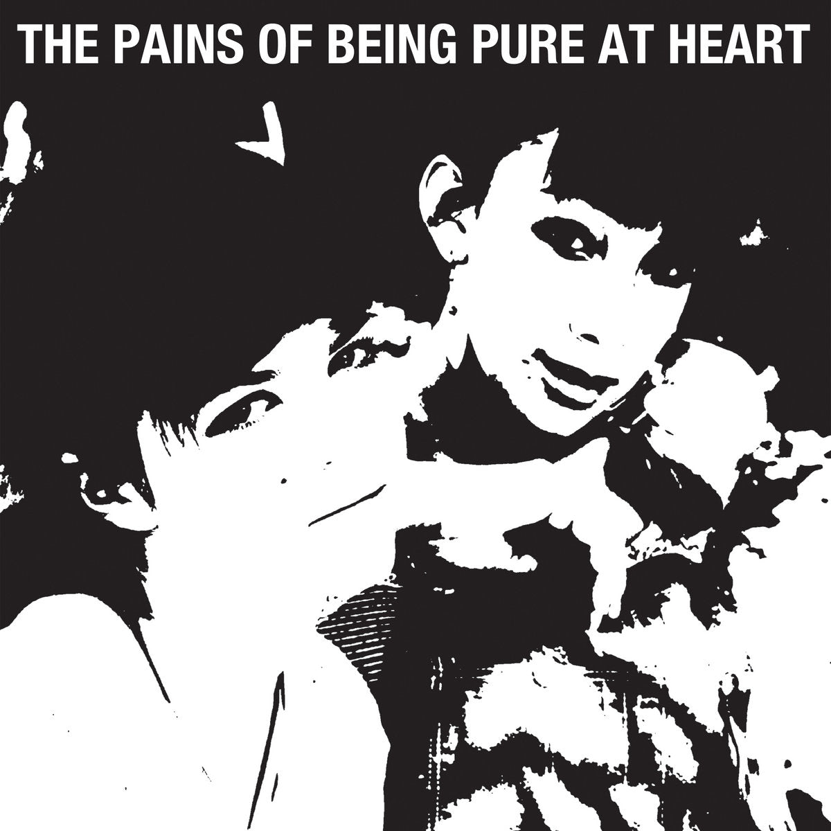 The Pains of Being Pure at Heart - The Pains of Being Pure at Heart