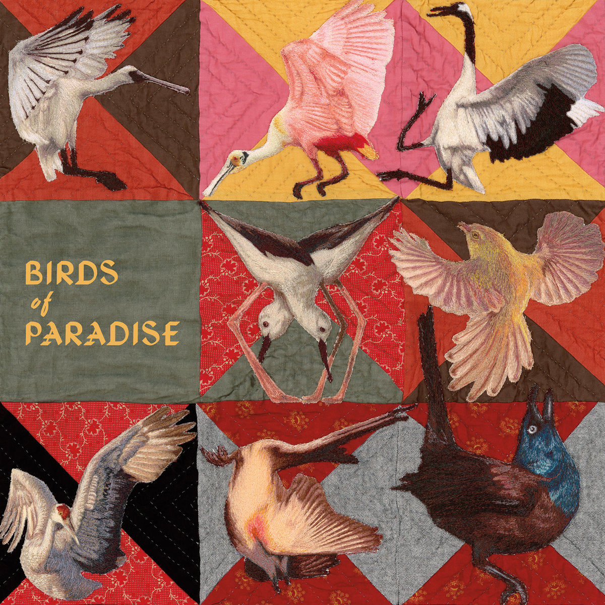Thomas Dollbaum - Birds of Paradise (Garage Sale)