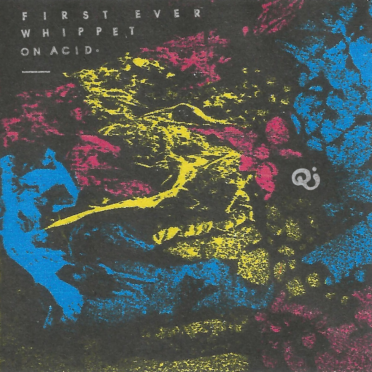 Quinine - First Ever Whippet On Acid (Garage Sale)