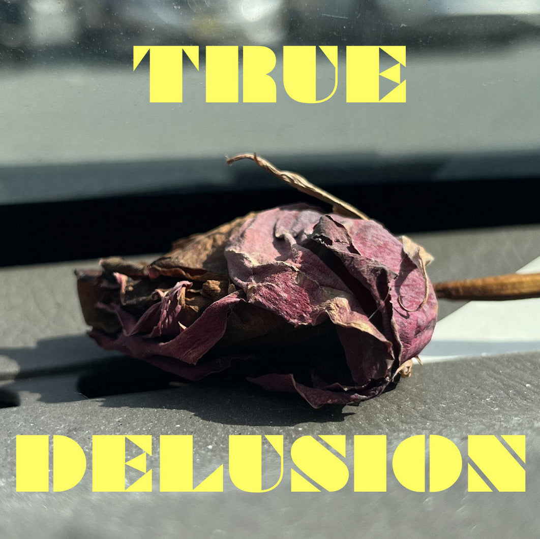 Bad History Month - True Delusion (Garage Sale)