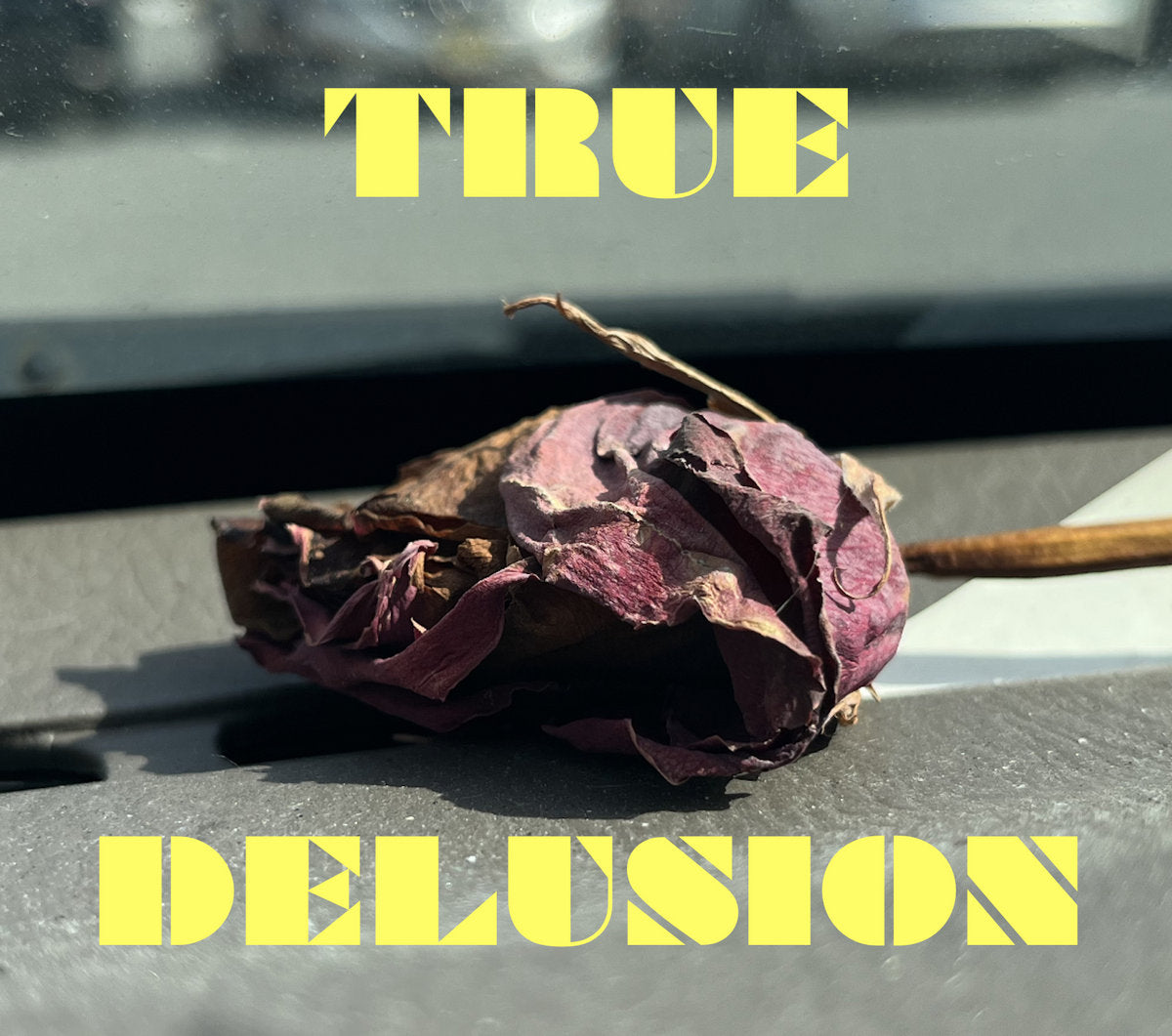 Bad History Month - True Delusion (Garage Sale)