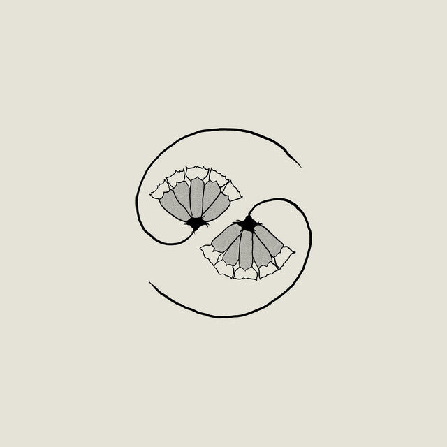 Godspeed You! Black Emperor - G_d's Pee AT STATE'S END