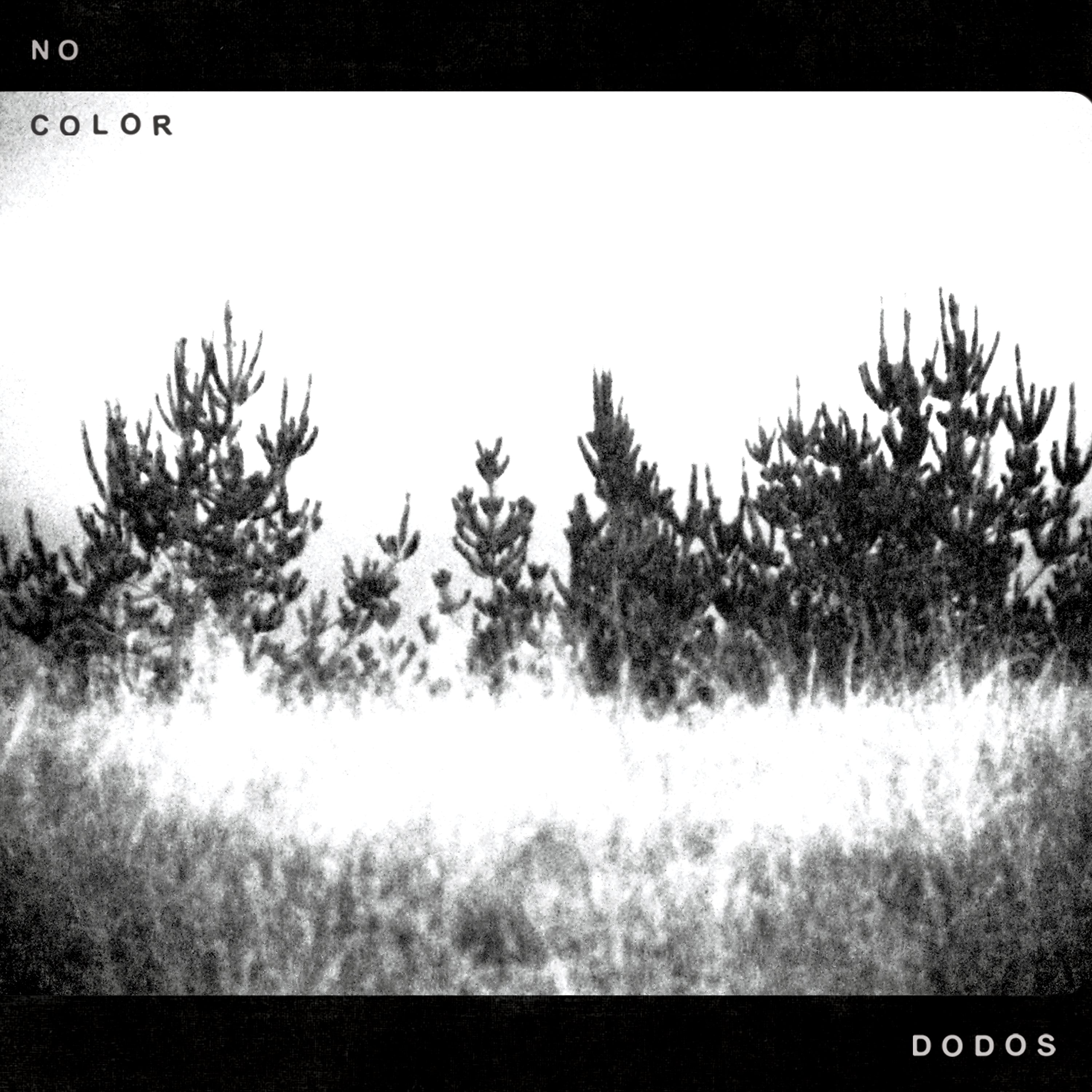 The Dodos - No Color | Polyvinyl Record Co.