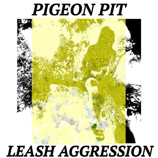 Pigeon Pit - Leash Agression