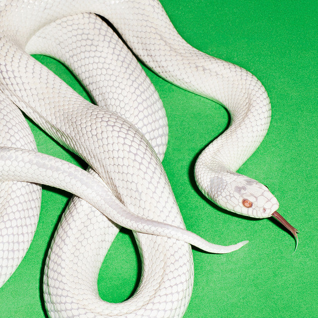 Deftones - Private Music