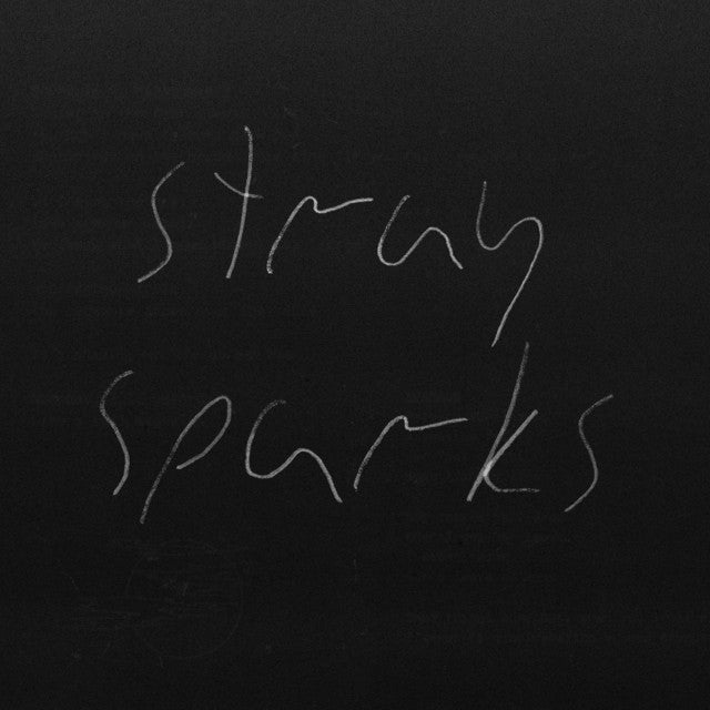 The Goodbye Party - Stray Sparks (Garage Sale)