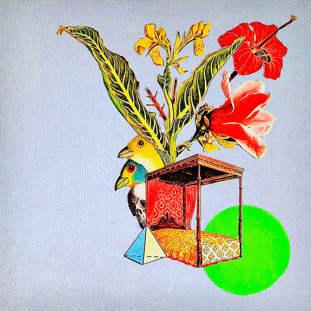 Fred Thomas - Critical Violets, Dream Erosion Pt. VII