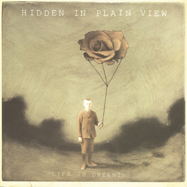 Hidden In Plain View - Life In Dreaming