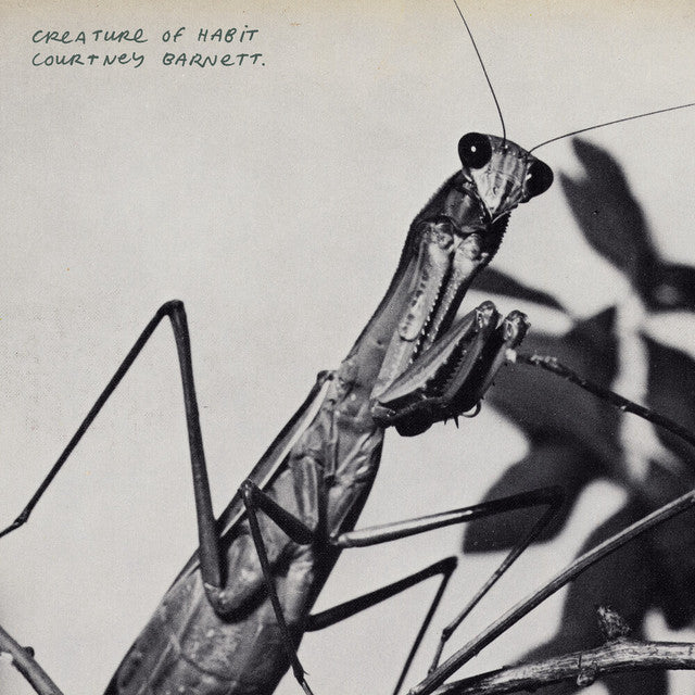 Courtney Barnett - Creature of Habit | Polyvinyl Record Co.