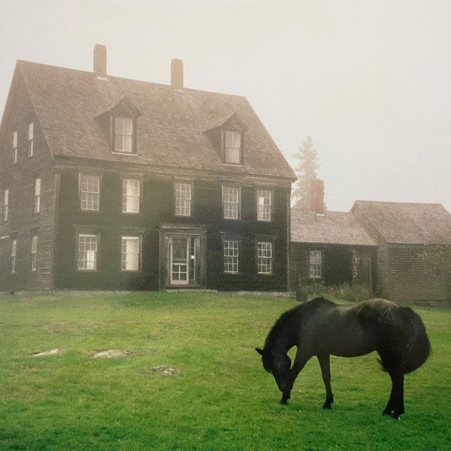 Lutalo - The Academy (Garage Sale Black Vinyl - Minor)