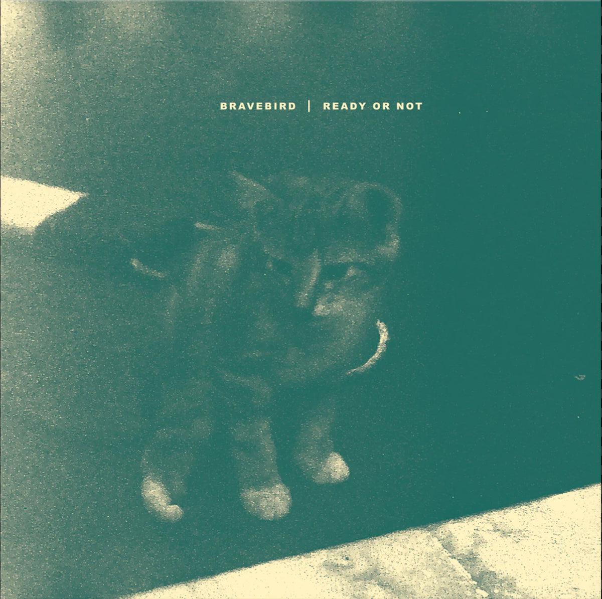 Brave Bird - Ready Or Not